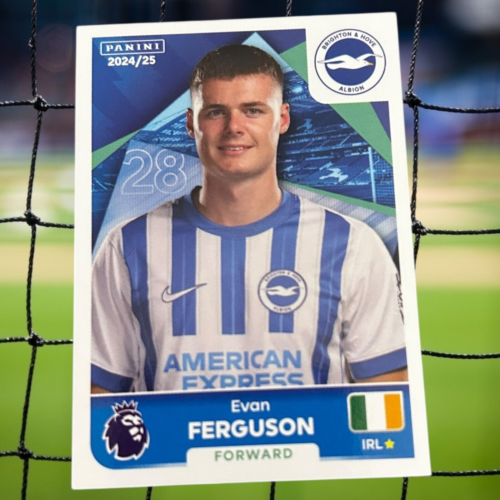 Nr.166 Evan Ferguson