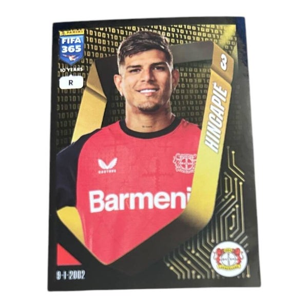 Nr.170 Hincapie