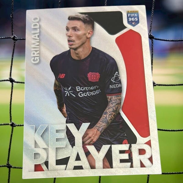 Nr.183 Grialdo - Key Player