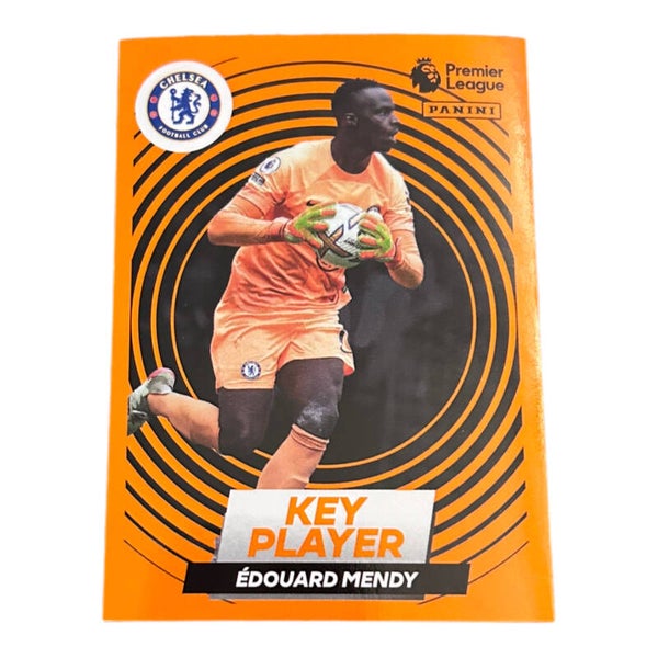 Nr.194 Edouard Mendy - Key Player