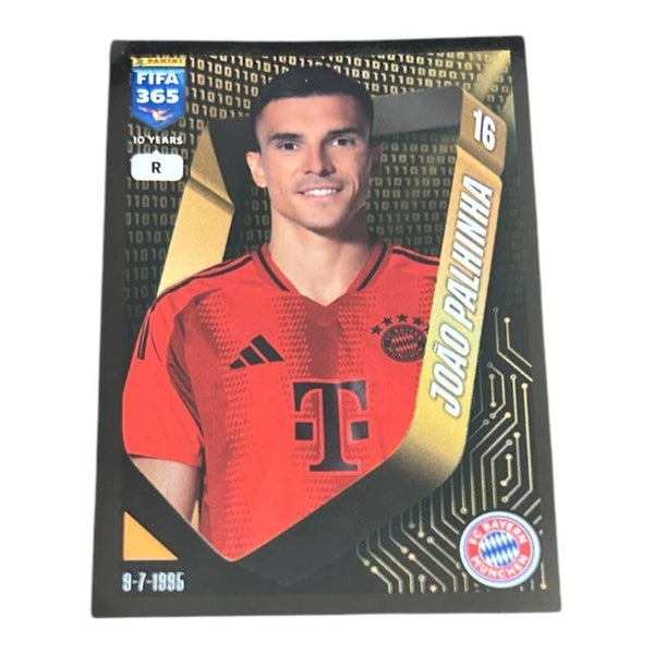 Nr.195 Joao Palhinha