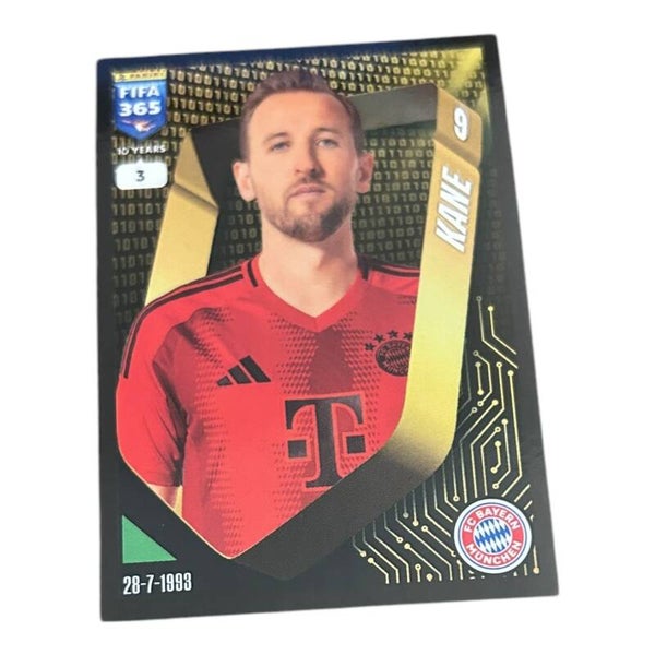 Nr.200 Kane
