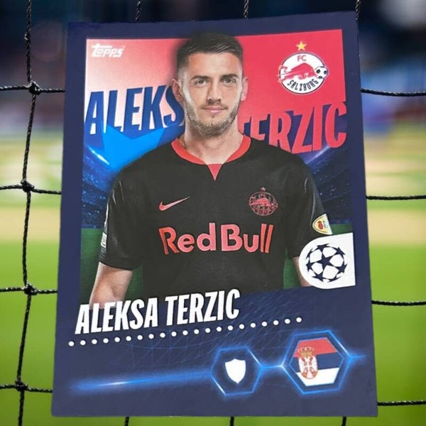 Nr.203 Aleksa Terzic