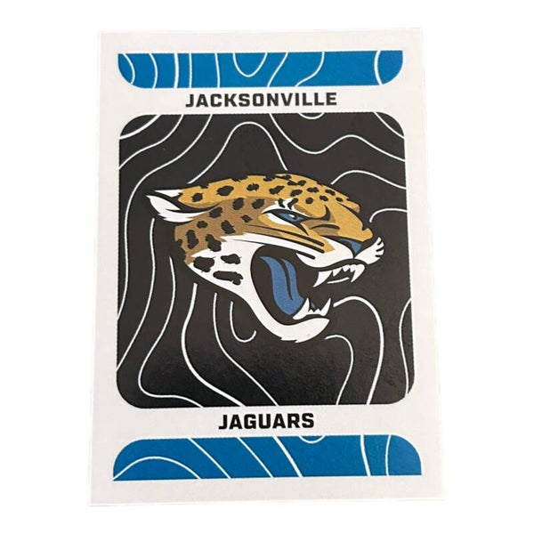 Nr.206 Jacksonville Jaguars