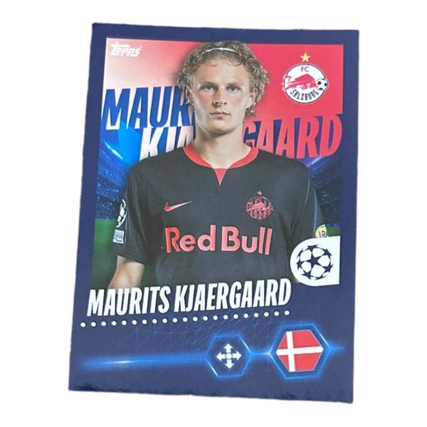 Nr.207 Maurits Kjaergaard