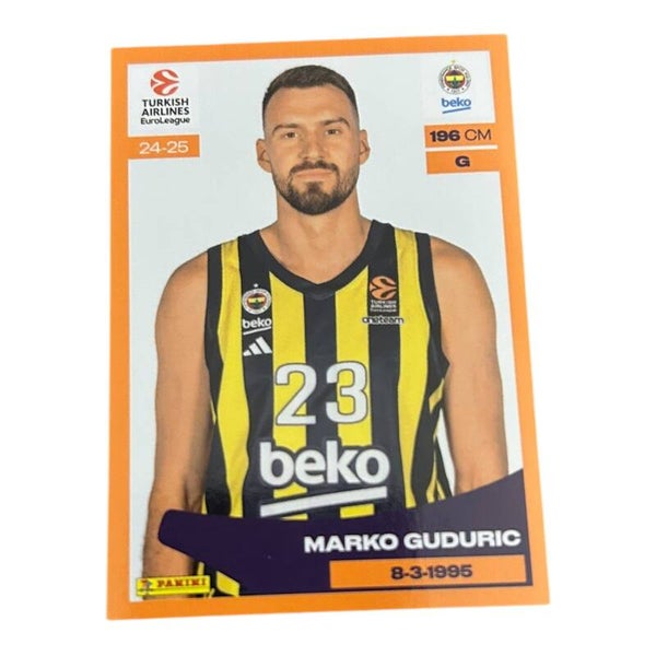 Nr.208 Marko Guduric