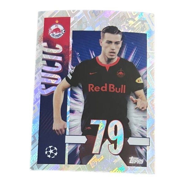 Nr.217 Sucic