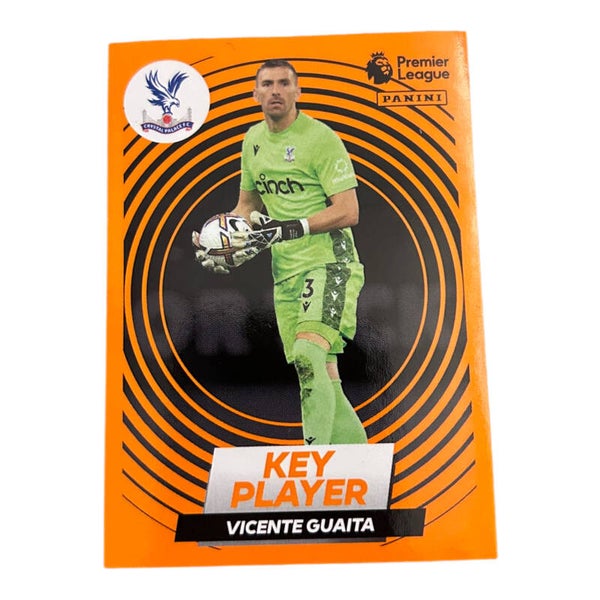 Nr.223 Vicente Guaita - Key Player