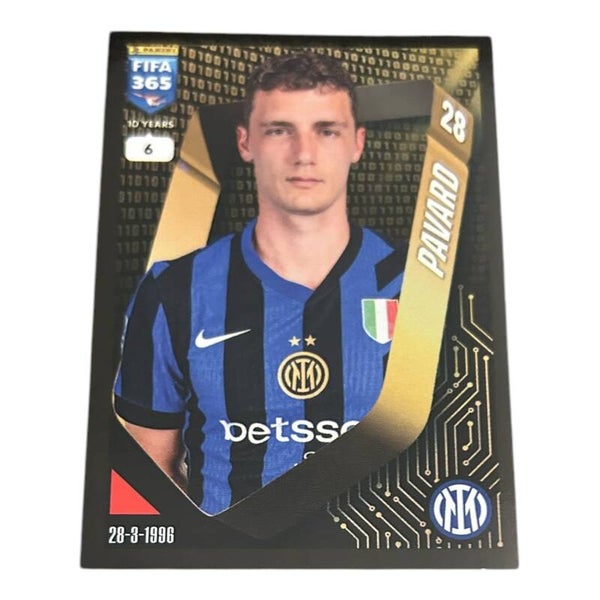 Nr.224 Pavard