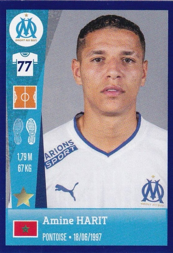 Nr.225 Amine Harit