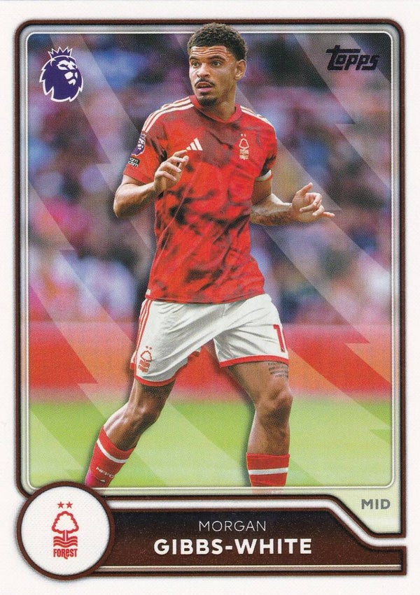 Nr.225 Morgan Gibbs White