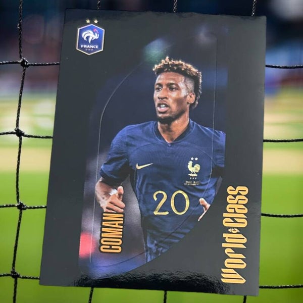Nr.226 Coman