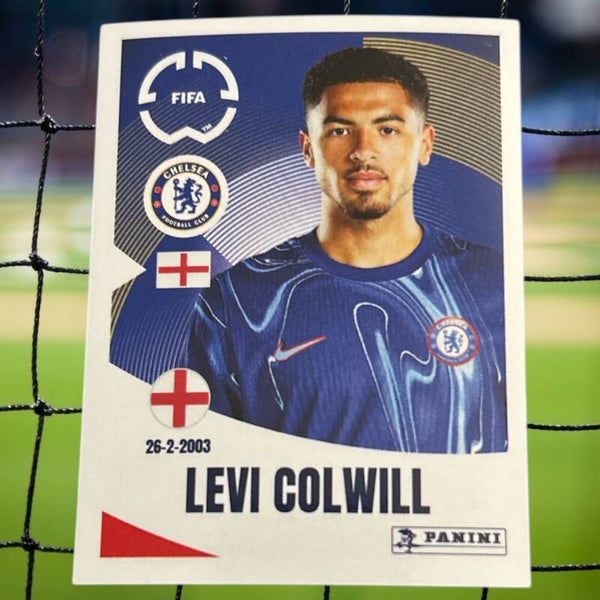 Nr.229 Levi Colwill