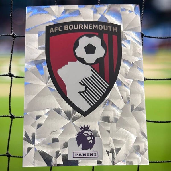 Nr.23 AFC Bournemouth
