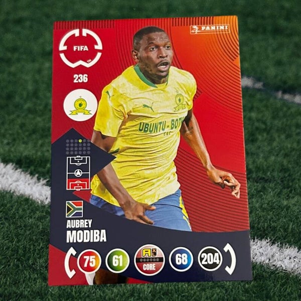 Nr.236 Audrey Modiba
