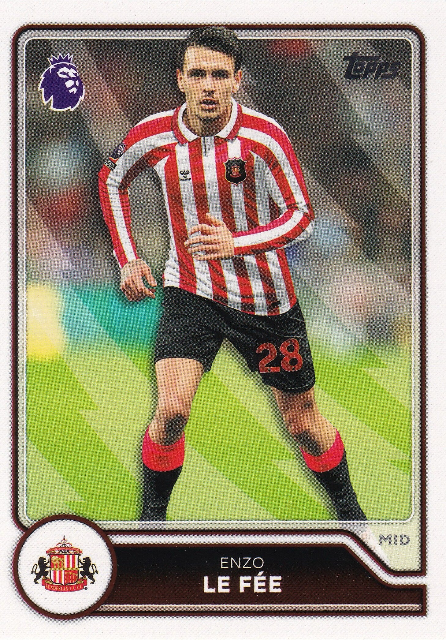 Nr.238 Enzo Le Fee