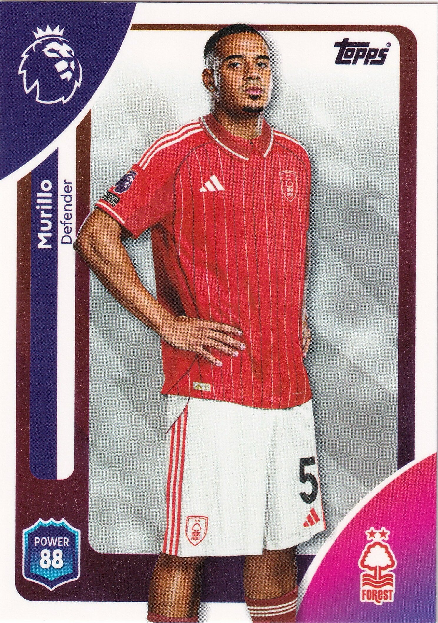 Nr.239 Murillo
