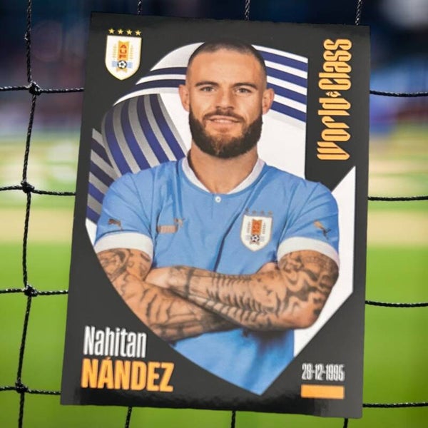 Nr.239 Nahitan Nandez