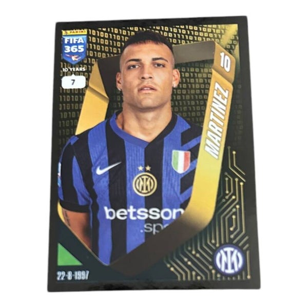 Nr.239 Martinez