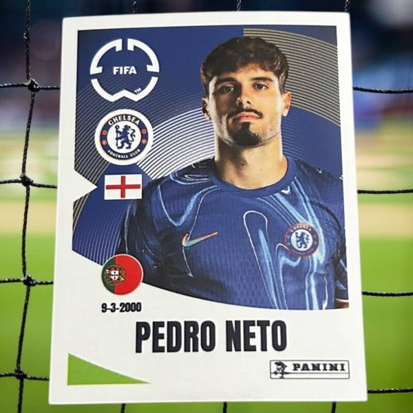 Nr.240 Pedro Neto
