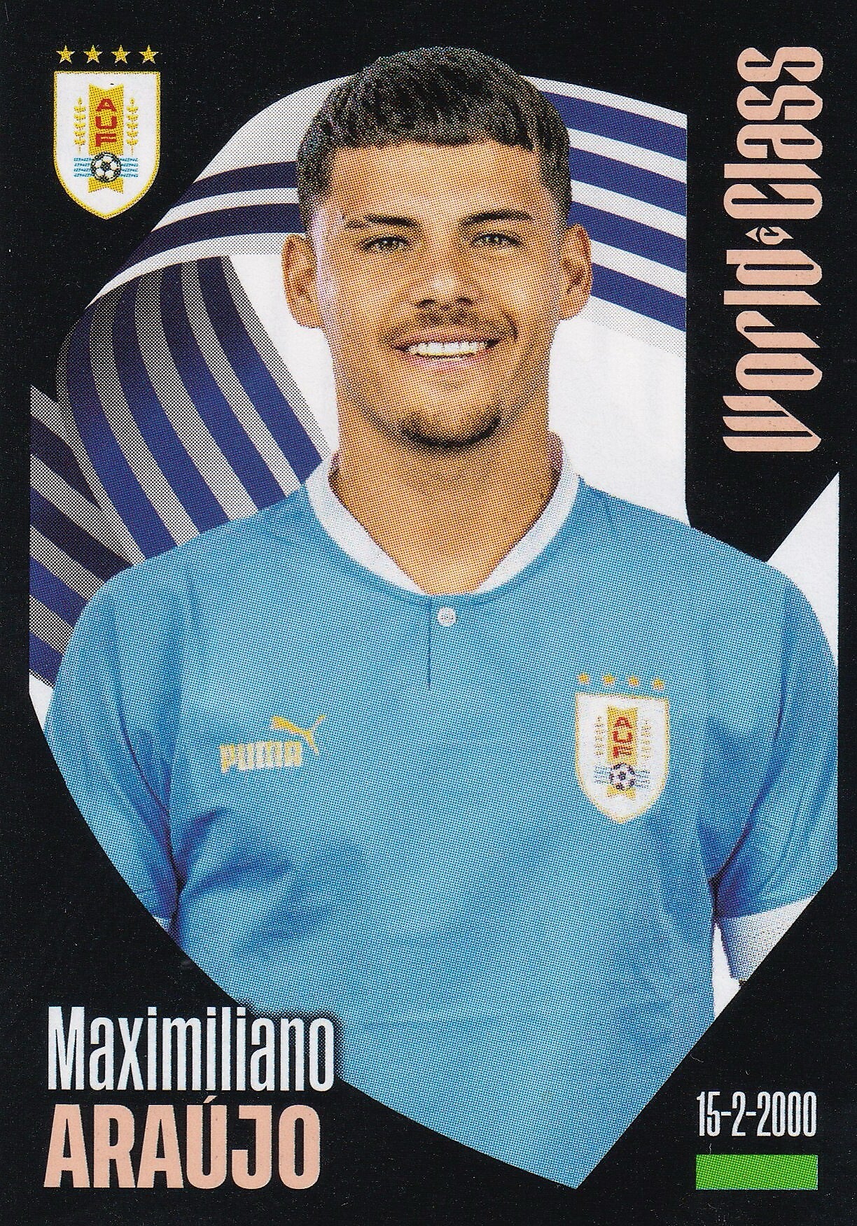 Nr.246 Maximiliano Araujo