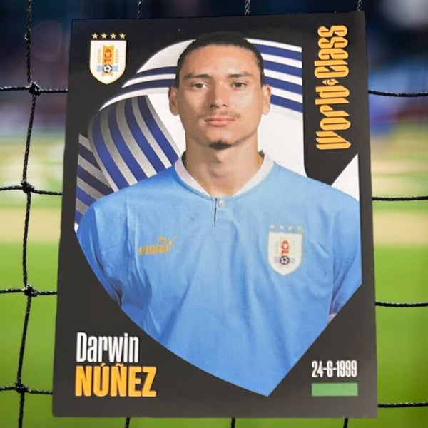 Nr.248 Darwin Nunez