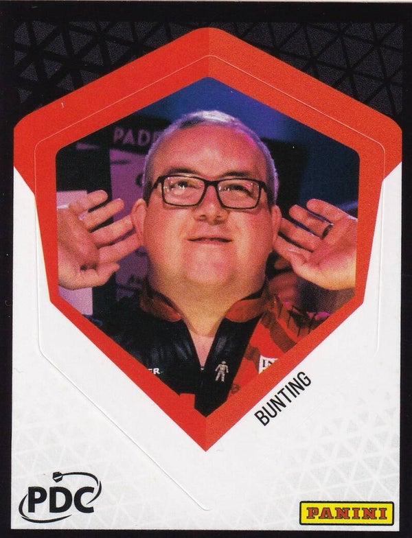 Nr.249 Bunting