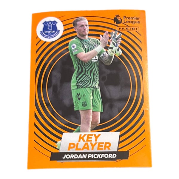 Nr.252 Jordan Pickford - Key Player