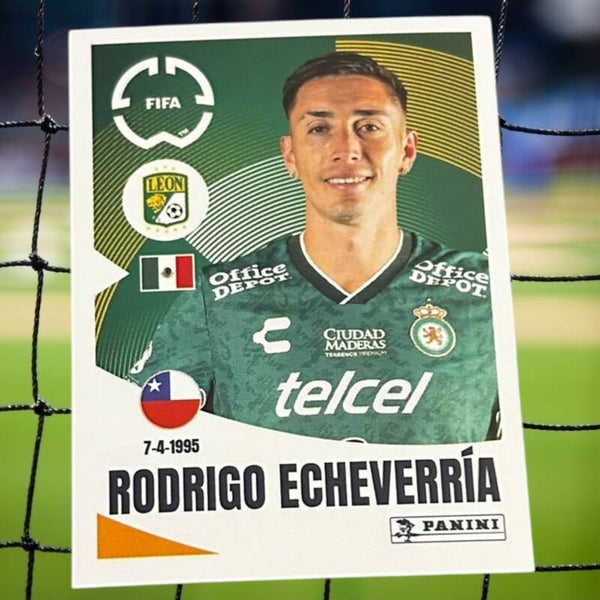 Nr.252 Rodrigo Echeverria