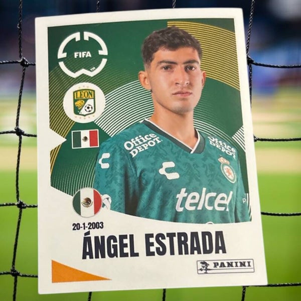 Nr.253 Angel Estrada