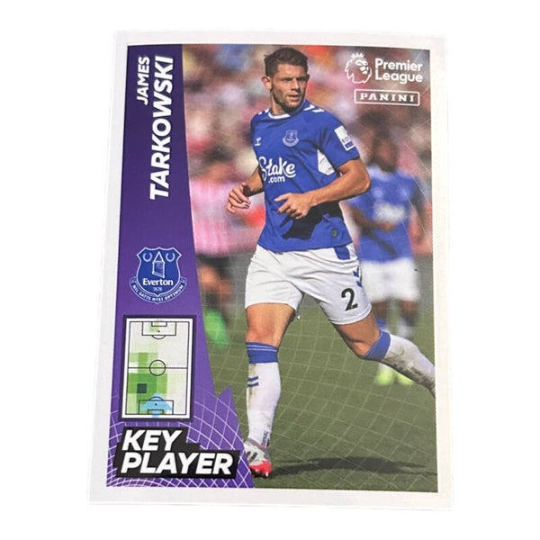 Nr.254 James Tarkowski - Key Player