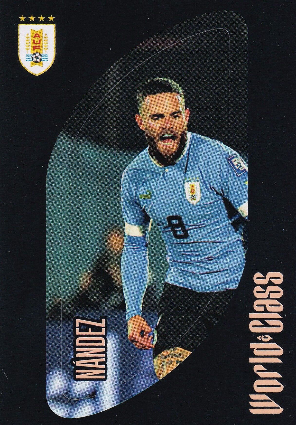 Nr.259 Nandez