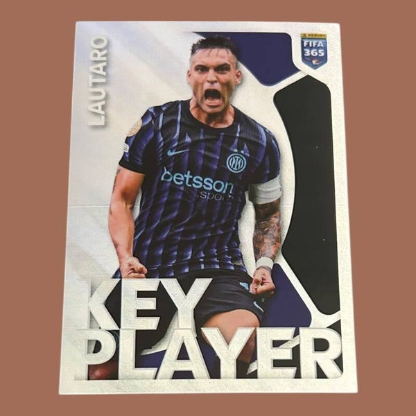 Nr.273 Lautaro - Key Player