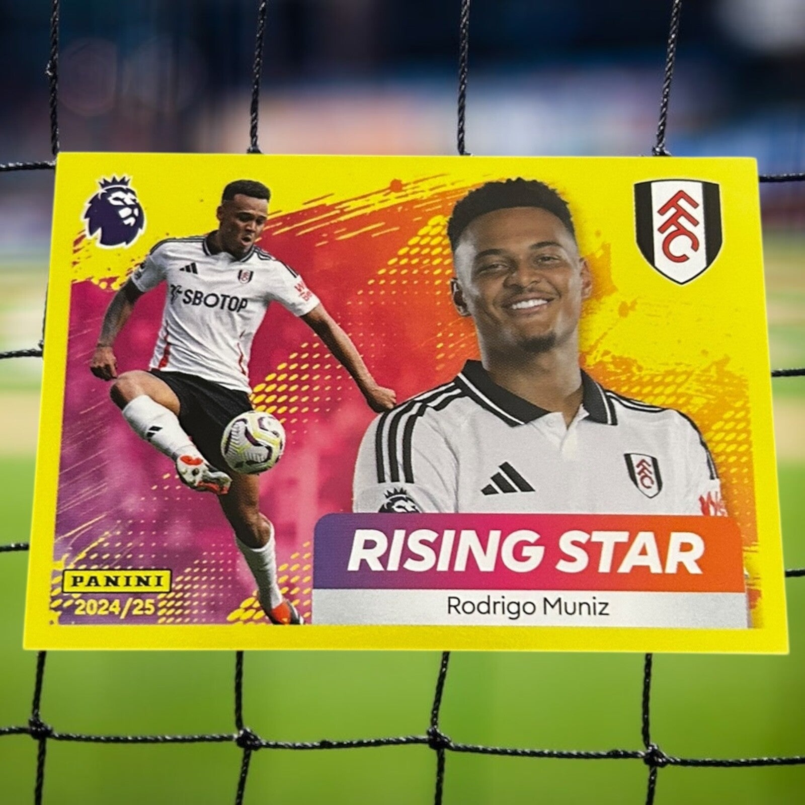 Nr.277 Rodrigo Muniz - Rising Star