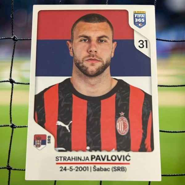 Nr.281 Strahinja Pavlovic