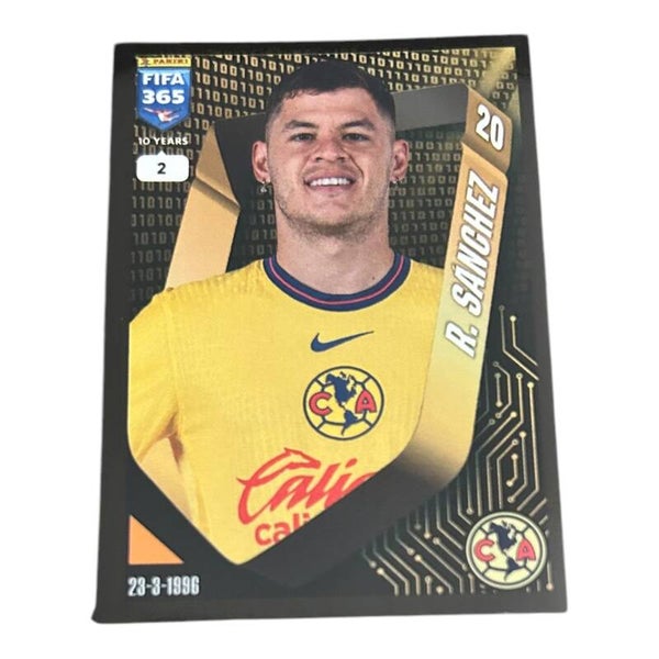 Nr.288 R. Sanchez