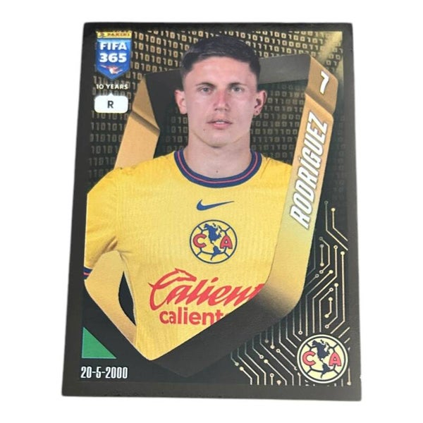 Nr.290 Rodriguez