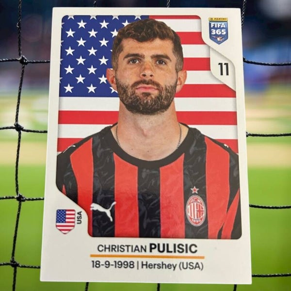 Nr.293 Christian Pulisic