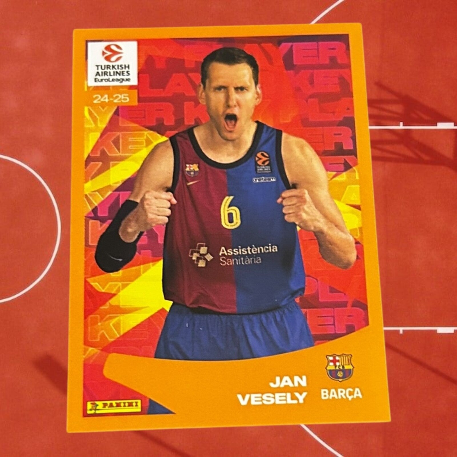 Nr.30 Jan Vesely