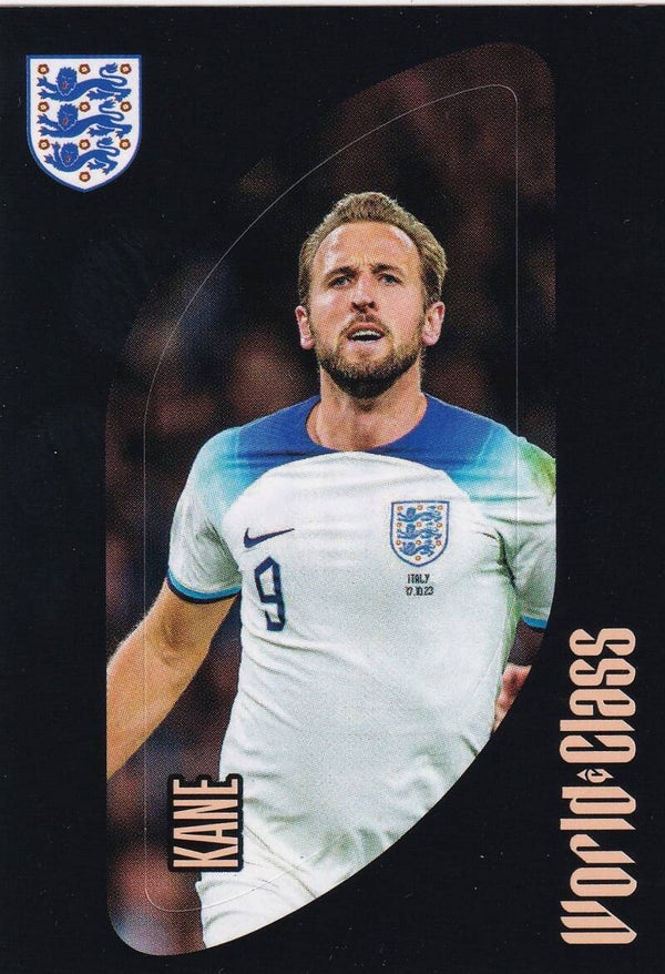 Nr.307 Harry Kane