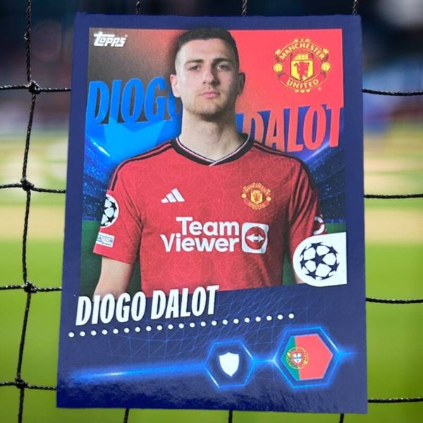Nr.315 Diogo Dalot