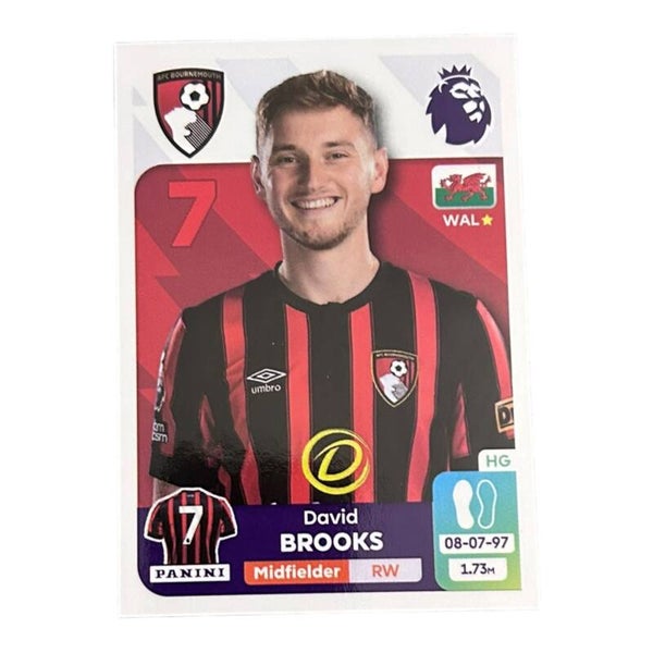 Nr.33 David Brooks