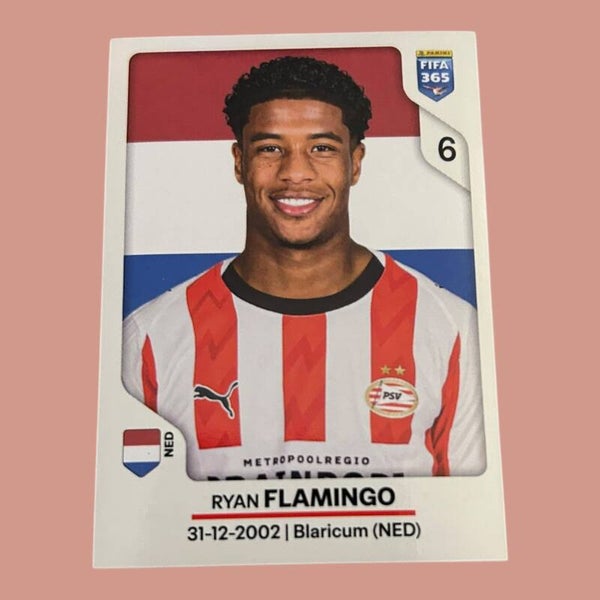 Nr.335 Ryan Flamingo
