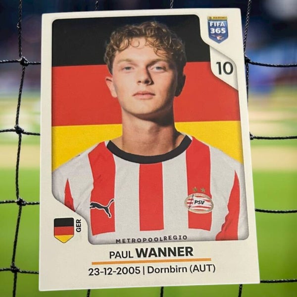 Nr.339 Paul Wanner