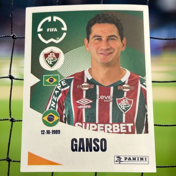 Nr.343 Ganso