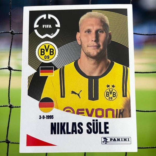 Nr.357 Niklas Süle
