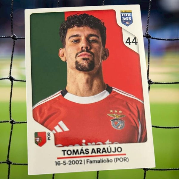 Nr.371 Tomas Araujo