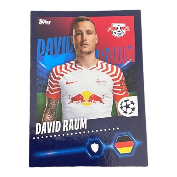 Nr.375 David Raum