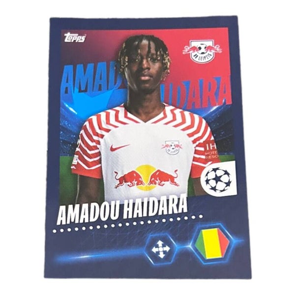 Nr.377 Amadou Haidara