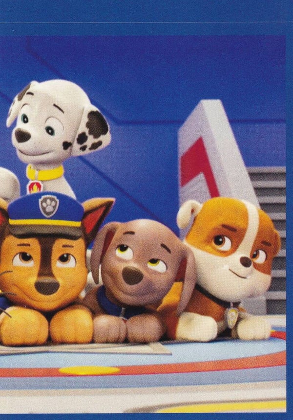 Nr.38 Paw Patrol Search Rescue